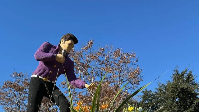 Rose Parade & Coastal California Tour – December 2025 Departure
