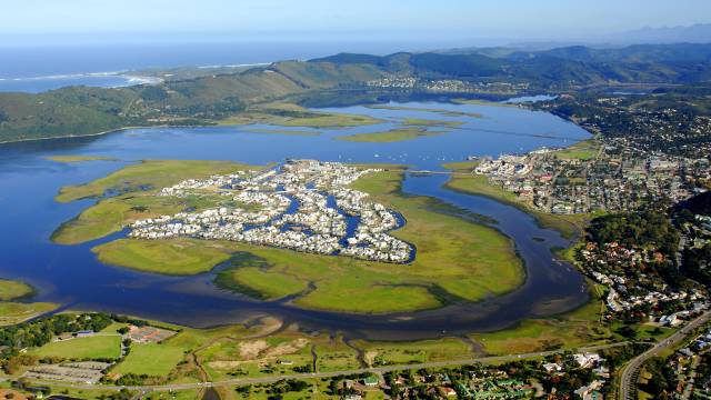 Into The Wild: South African Safari Adventure