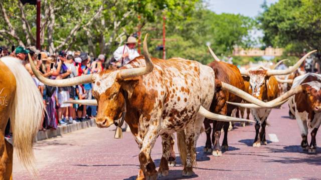 Heart of Texas
