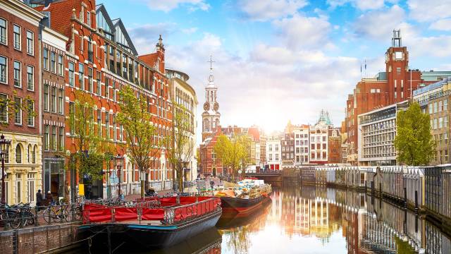 Rhine River Cruise in Tulip Season 2026
