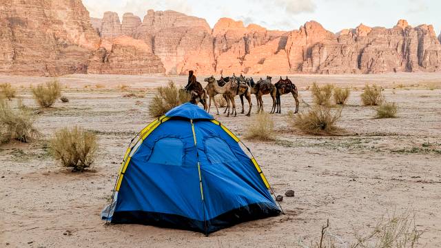 Petra & Wadi Rum Trek