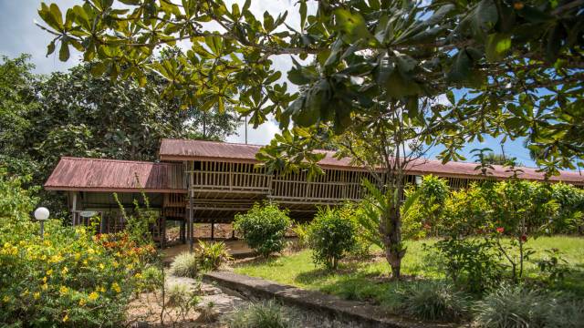 Borneo Family Wildlife Adventure
