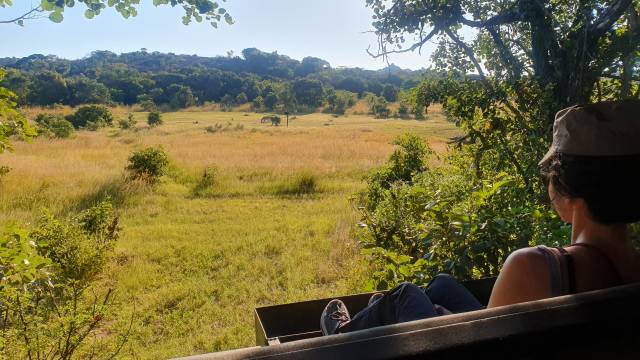 Botswana & Zimbabwe Lodge Safari