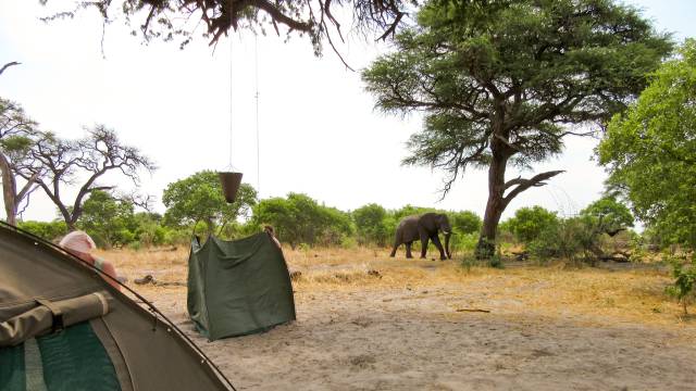 Wildlife & Wilderness of Botswana