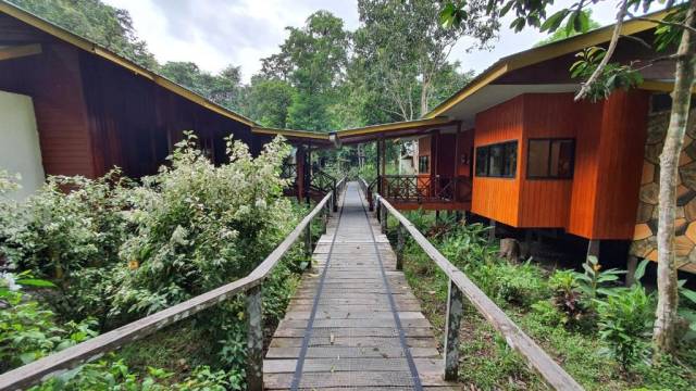 Borneo Family Wildlife Adventure