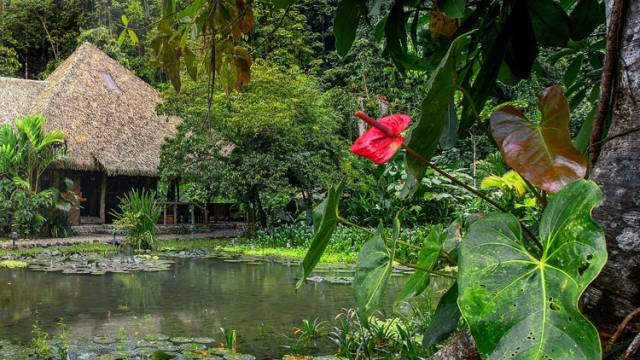 Discover Costa Rica