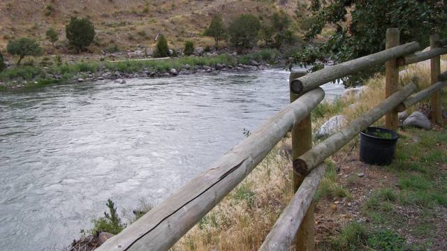 Yellowstone Walks & Wildlife