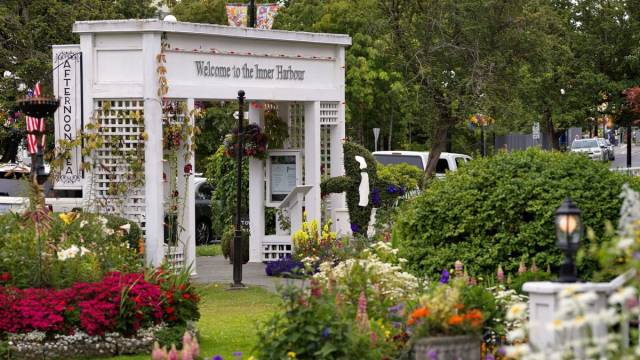 Whales & Bears of British Columbia