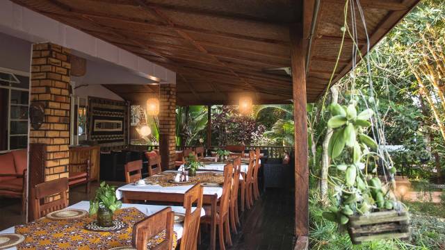 Chimps & Gorillas of Uganda
