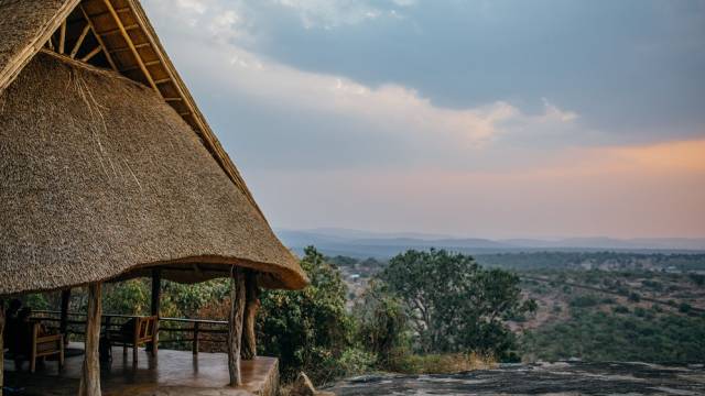Chimps & Gorillas of Uganda