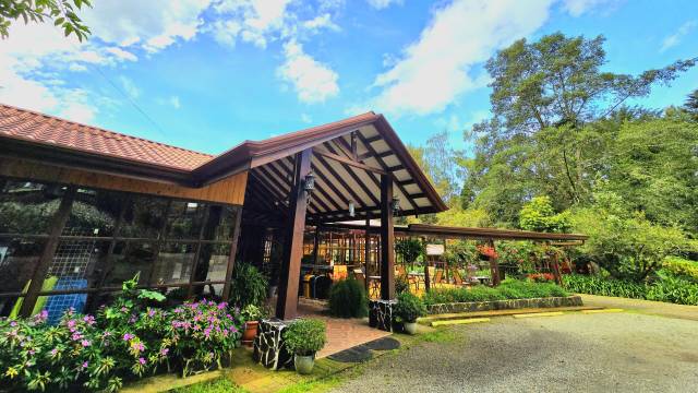 Discover Costa Rica – with Dominical