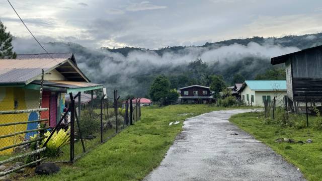 Borneo Family Wildlife Adventure