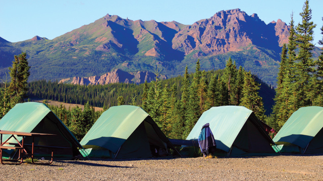 Alaska Wildlife & Wilderness