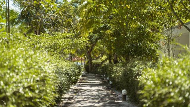Cambodia Adventure