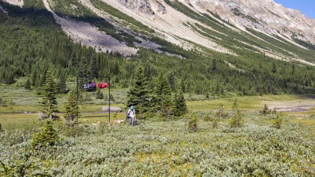 Canadian Rockies: Heli-Hike & Wilderness