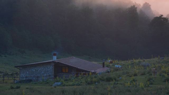 Italian Apennines: Walks & Wildlife