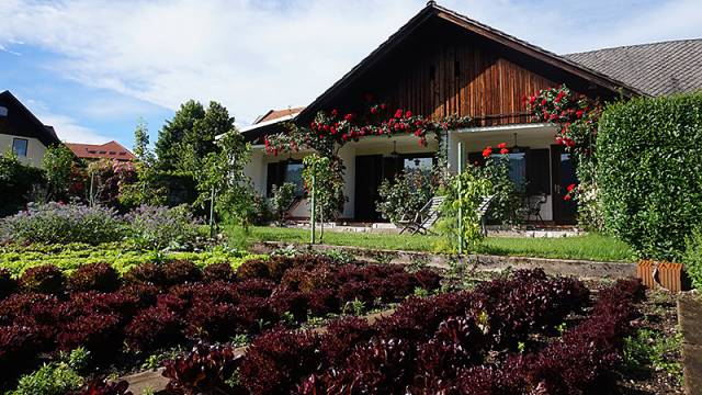 Walking the Slovenian Alps