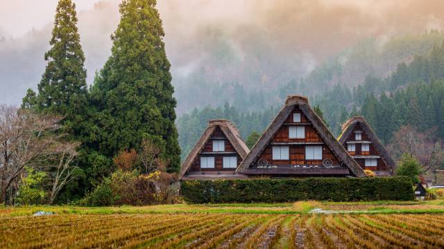 Cycling in Japan