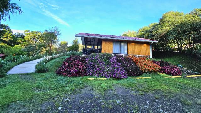 Discover Costa Rica – with Dominical