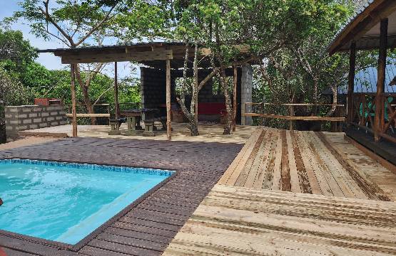 Southern Africa Safari: Kruger & Coast