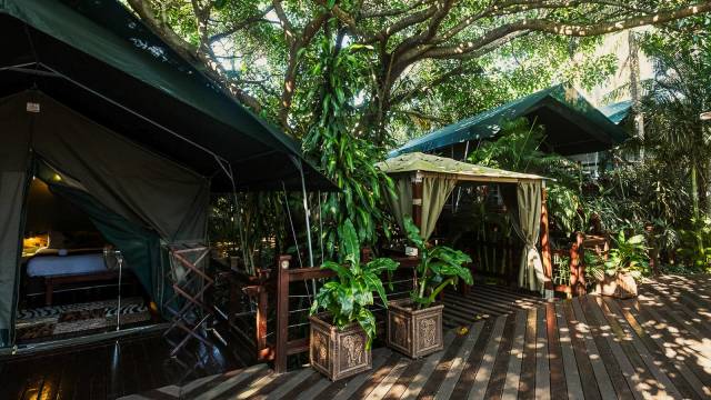 Southern Africa Safari: Kruger & Coast
