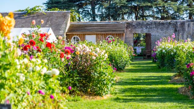 Loire Valley: Walks, Wine & Chateaux