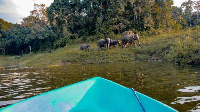 Sri Lanka: Wonders & Wildlife – Premium Adventure