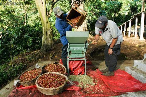 Colombia: Culture, Coffee & Caribbean
