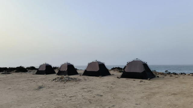 Oman Desert Odyssey
