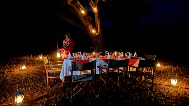 Kenya Safari Adventure
