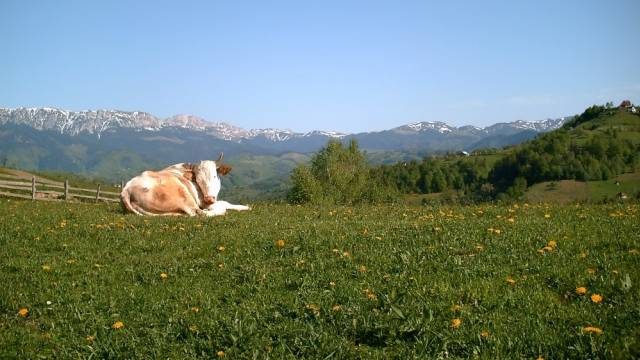 Summits of the Transylvanian Alps