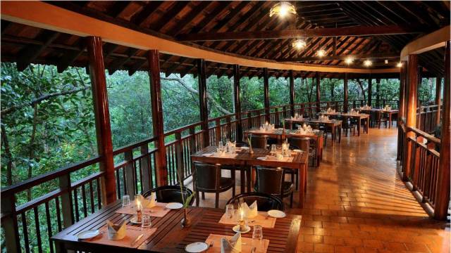 Discover South India – Premium Adventure