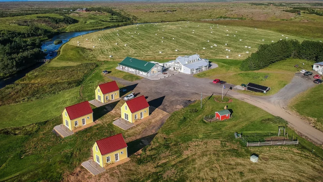 An Icelandic Adventure