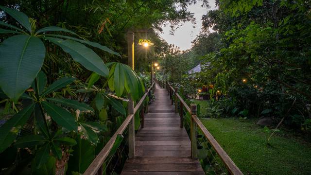 Discover Laos in Comfort