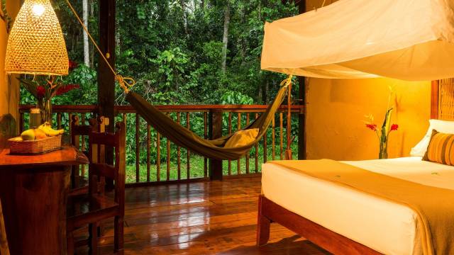 Premium Amazon Rainforest Extension (from Cuzco)