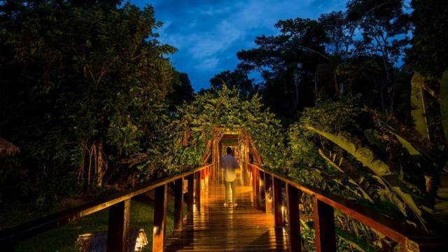 Premium Amazon Rainforest Extension (from Cuzco)