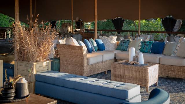 Kruger Safari Highlights – Premium Adventure