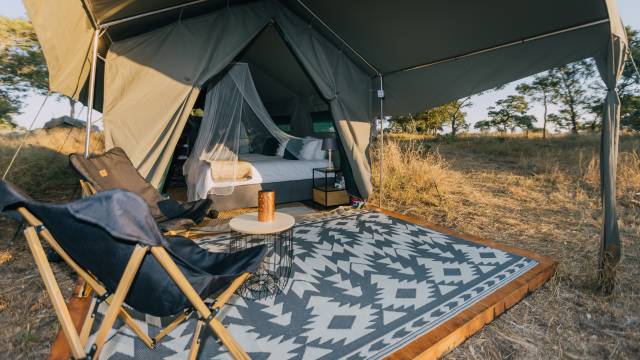 Kruger Safari Highlights – Premium Adventure