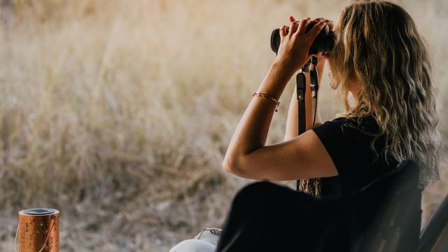 Kruger Safari Highlights – Premium Adventure