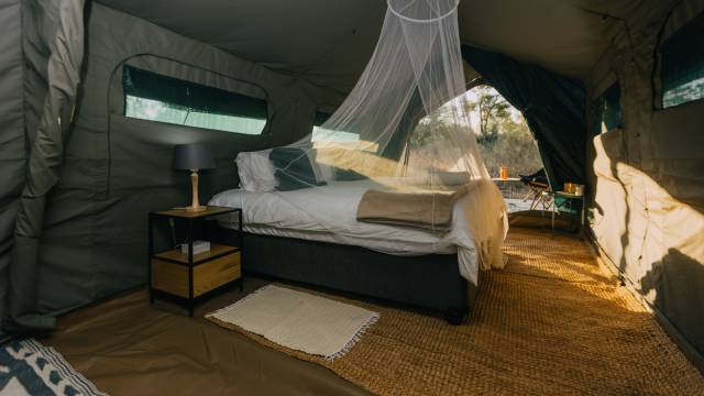 Kruger Safari Highlights – Premium Adventure