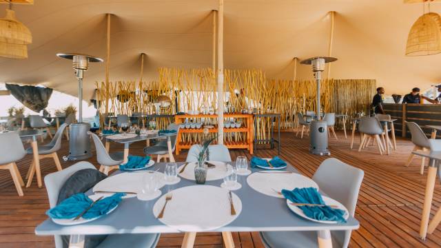 Kruger Safari Highlights – Premium Adventure
