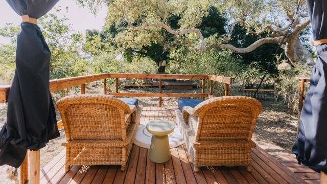 Kruger Safari Highlights – Premium Adventure