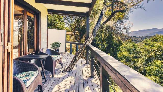 Best of the Garden Route – Premium Adventure