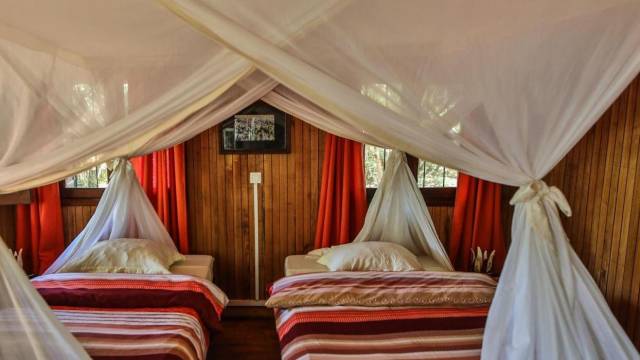 Madagascar Wildlife Adventure