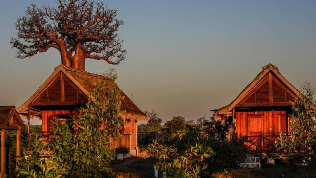 Madagascar Wildlife Adventure