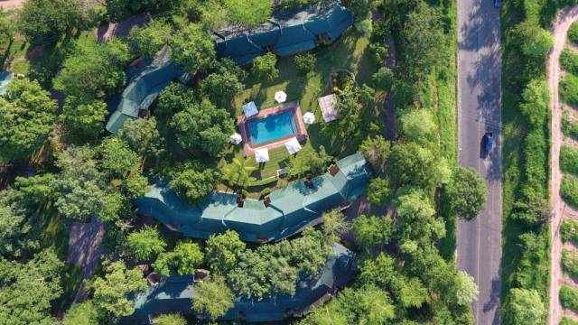 Essential Kruger Safari