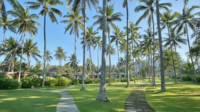 Signature Indonesia | The Sacred Wild Isles