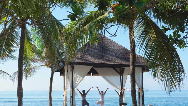 Signature Indonesia | The Sacred Wild Isles