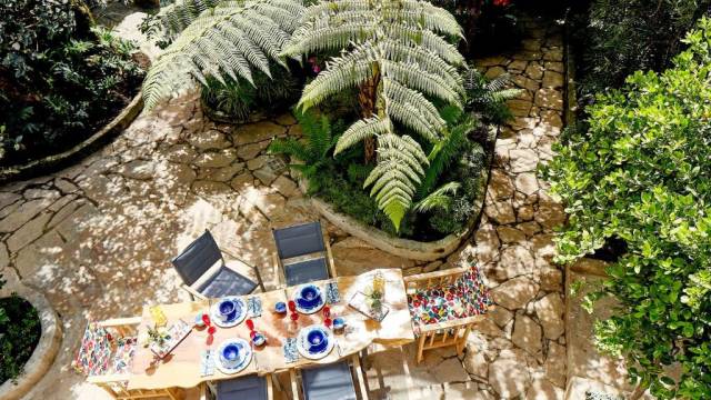 Signature Colombia | Stories Beneath Wax Palms