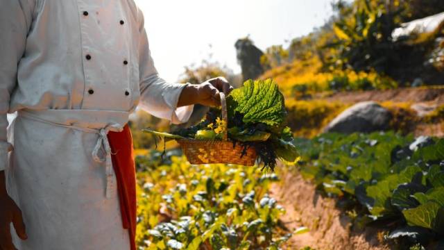 Signature Nepal & Bhutan | Peaks & Prayer Flags